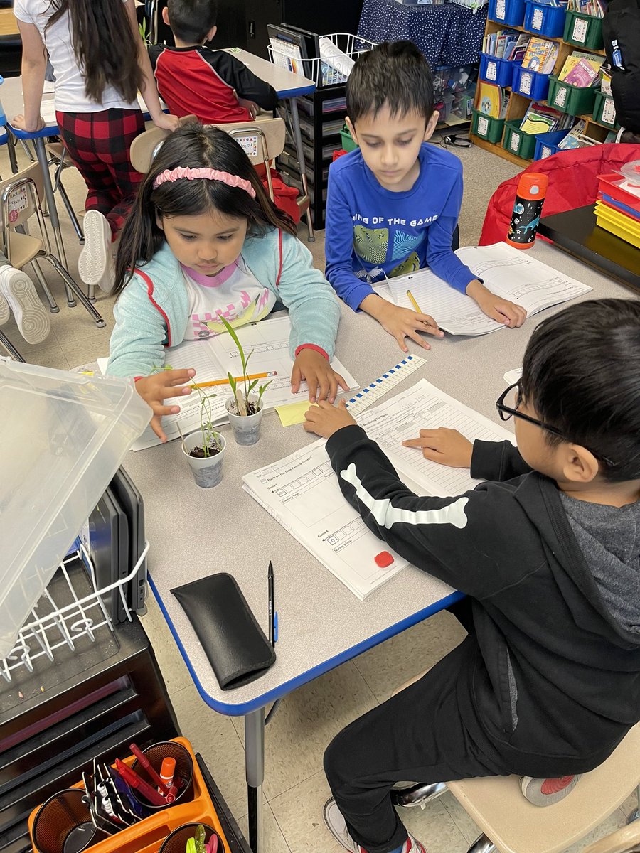 Ms (Gorlin) Tarbell tweet media