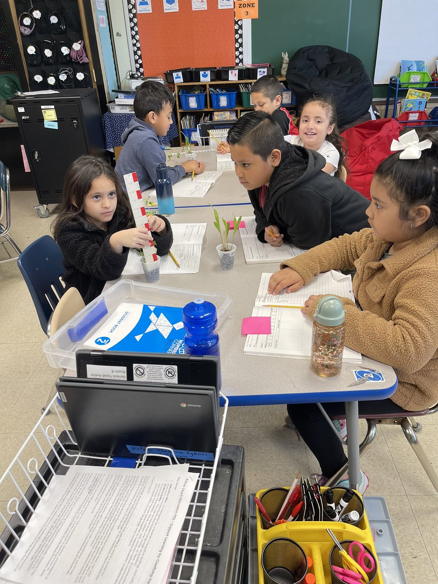 Ms (Gorlin) Tarbell tweet media