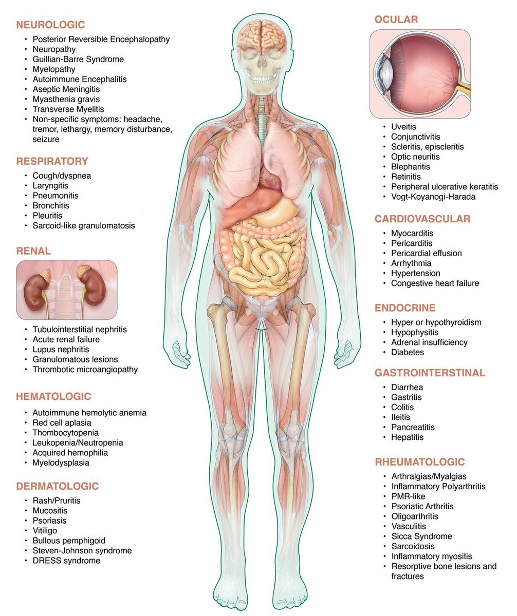 Eric K. Singhi, MD (@lungoncdoc) on Twitter photo ☣️ Rare but life-threatening irAEs can have a lasting impact on our patients.
#OncTwitter, how do you strike a balance between effectively obtaining IO consent & communicating potential serious irAEs to patients without undue distress? <a href="/JackWestMD/">H. Jack West, MD, FASCO</a> <a href="/DrJNaidoo/">Jarushka Naidoo</a> <a href="/jillfeldman4/">Jill Feldman</a> ☣️ Rare but life-threatening irAEs can have a lasting impact on our patients.
#OncTwitter, how do you strike a balance between effectively obtaining IO consent & communicating potential serious irAEs to patients without undue distress? <a href="/JackWestMD/">H. Jack West, MD, FASCO</a> <a href="/DrJNaidoo/">Jarushka Naidoo</a> <a href="/jillfeldman4/">Jill Feldman</a>