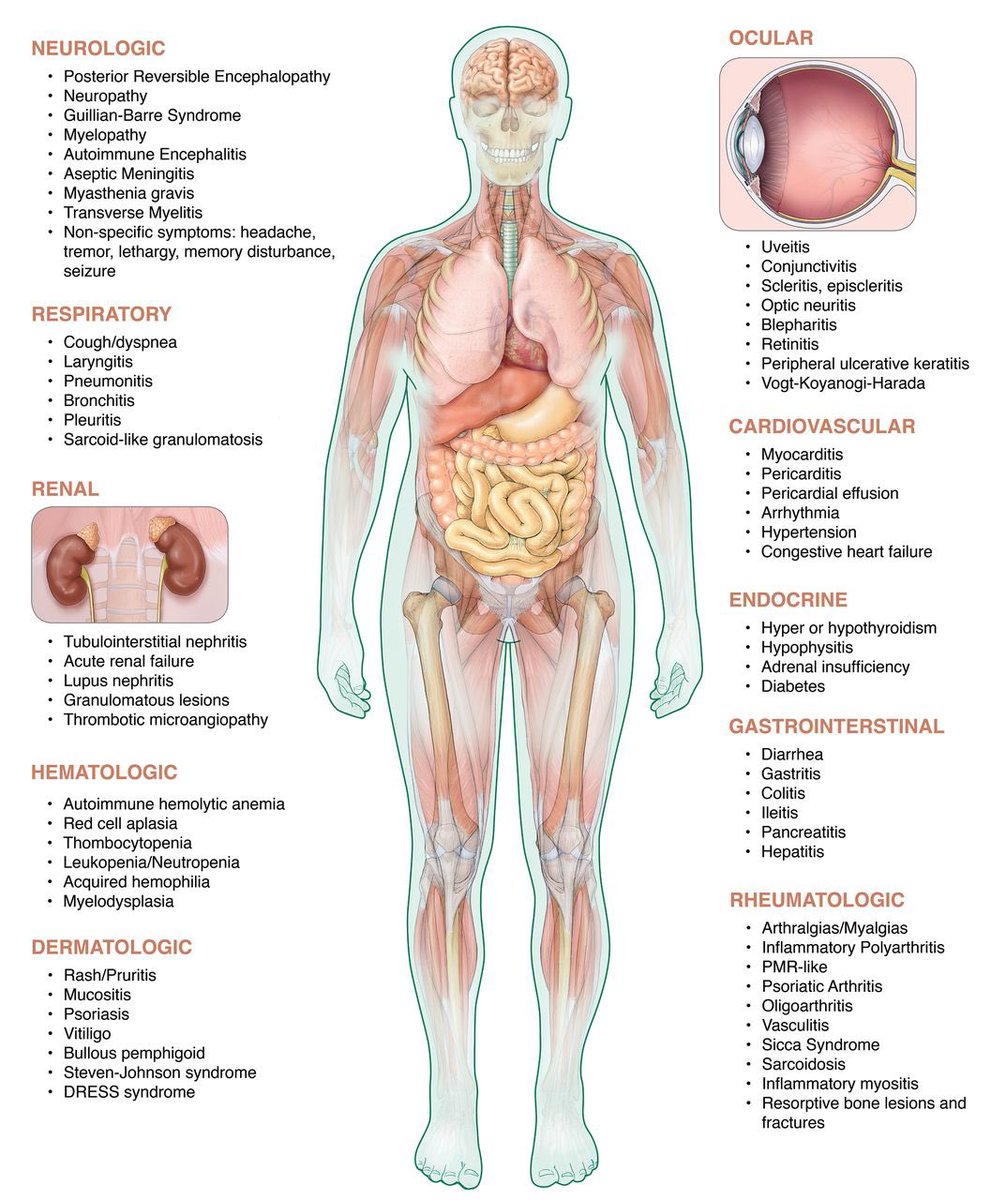 ☣️ Rare but life-threatening irAEs can have a lasting impact on our patients.  

#OncTwitter, how do you strike a balance between effectively obtaining IO consent & communicating potential serious irAEs to patients without undue distress? @JackWestMD @DrJNaidoo @jillfeldman4