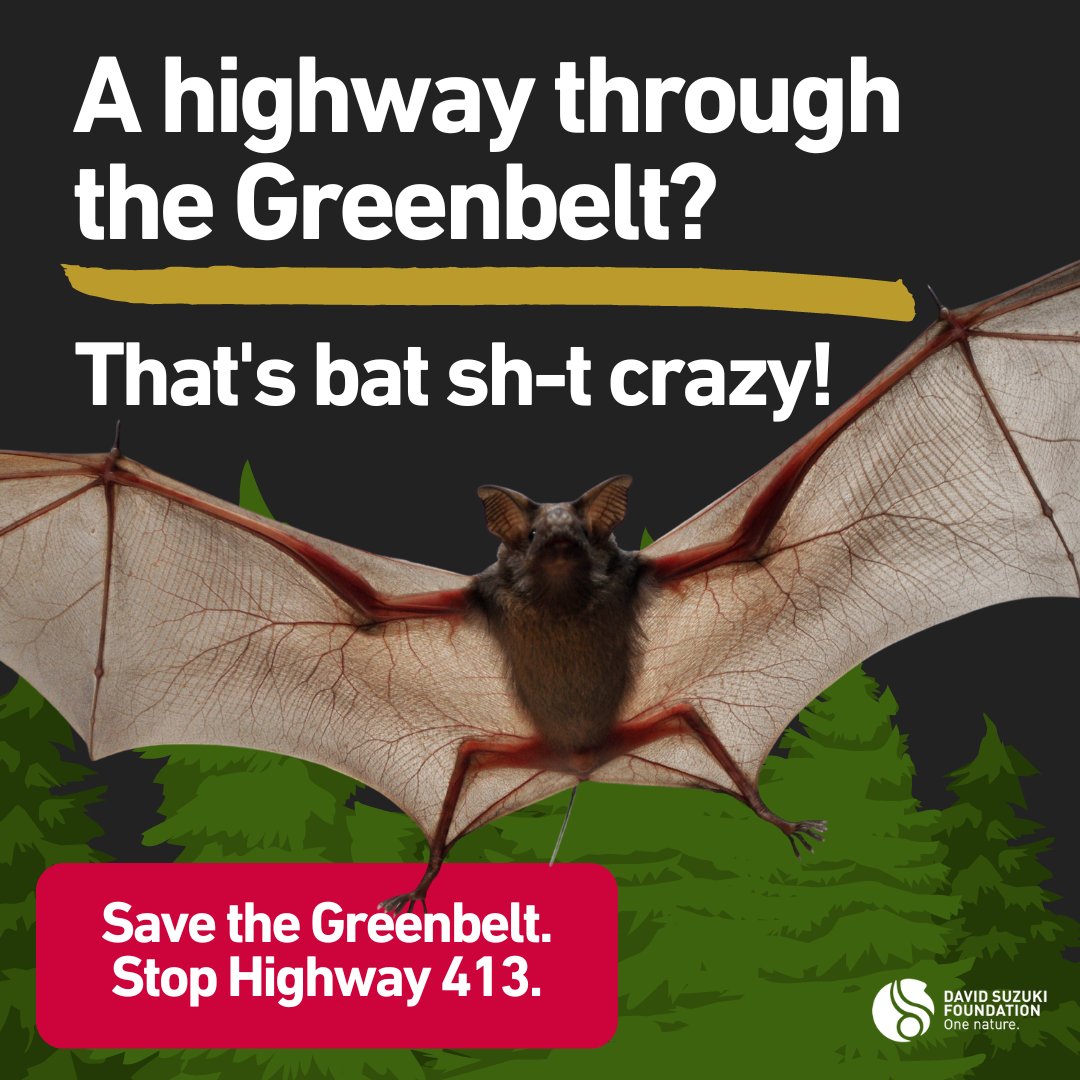 While other parts of the world invest in a sustainable future, <a href="/fordnation/">Doug Ford</a> is investing $8 BILLION in a highway to the past. 

Over 48,500 people have signed our petition asking <a href="/s_guilbeault/">Steven Guilbeault</a> to stop Highway 413. Join them here 👉 bit.ly/41AS4cf

#HandsOffTheGreenbelt