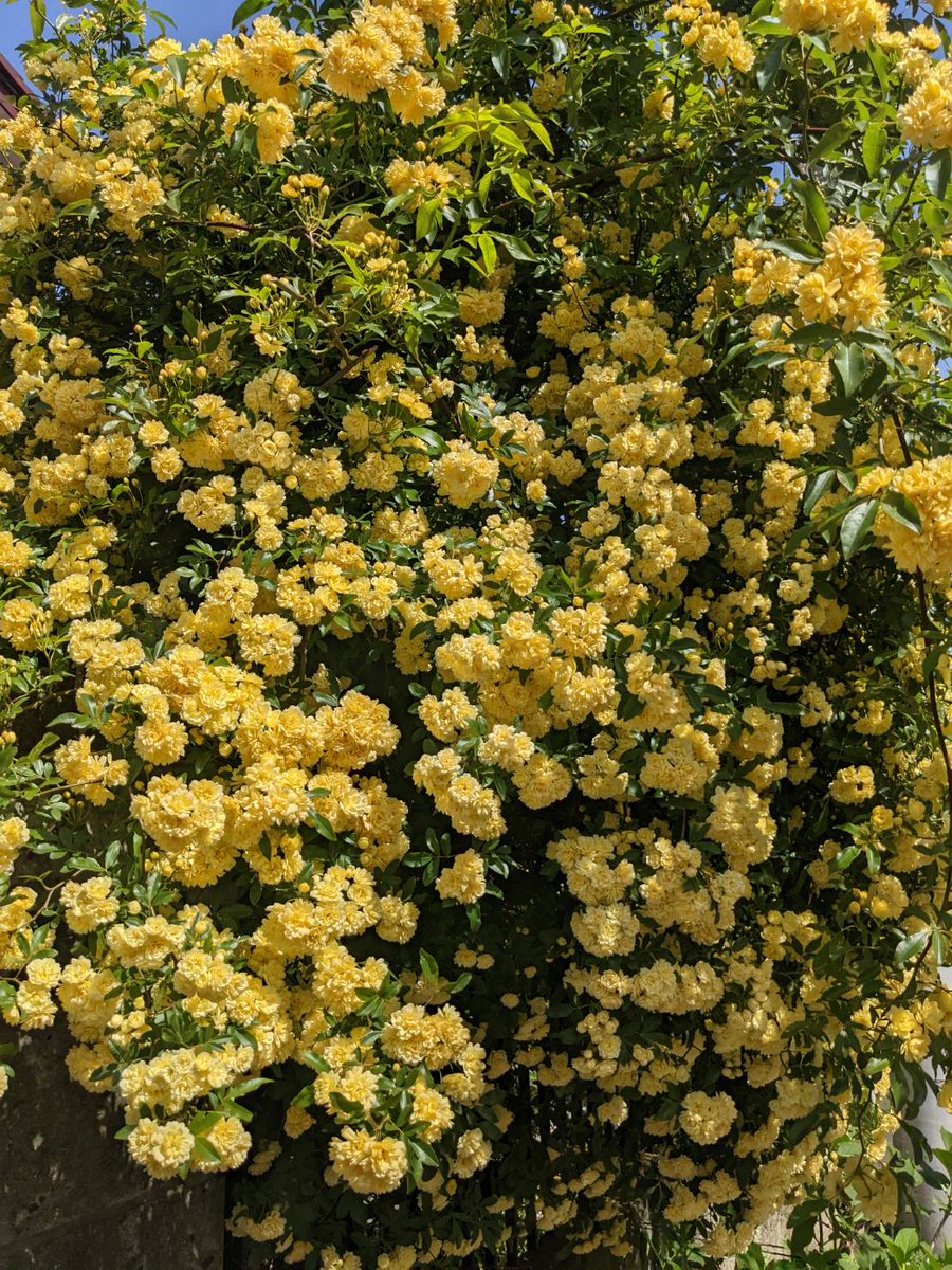 周りもきれいだった。