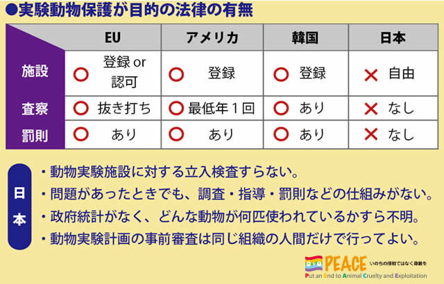 科学の犠牲になる動物たち　動物実験・実験動物 animals-peace.net/animalexperime… 

動物実験について知ろう