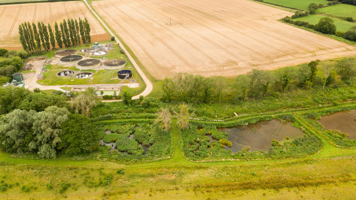We will revisit this wetland at the end of the week to see how it has progressed over the last few years. It was created for <a href="/AnglianWater/">Anglian Water</a> to remove nutrients from the sewage works, cleaning the water before it reaches the river.