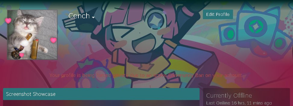 CSCench's tweet image. Yippi