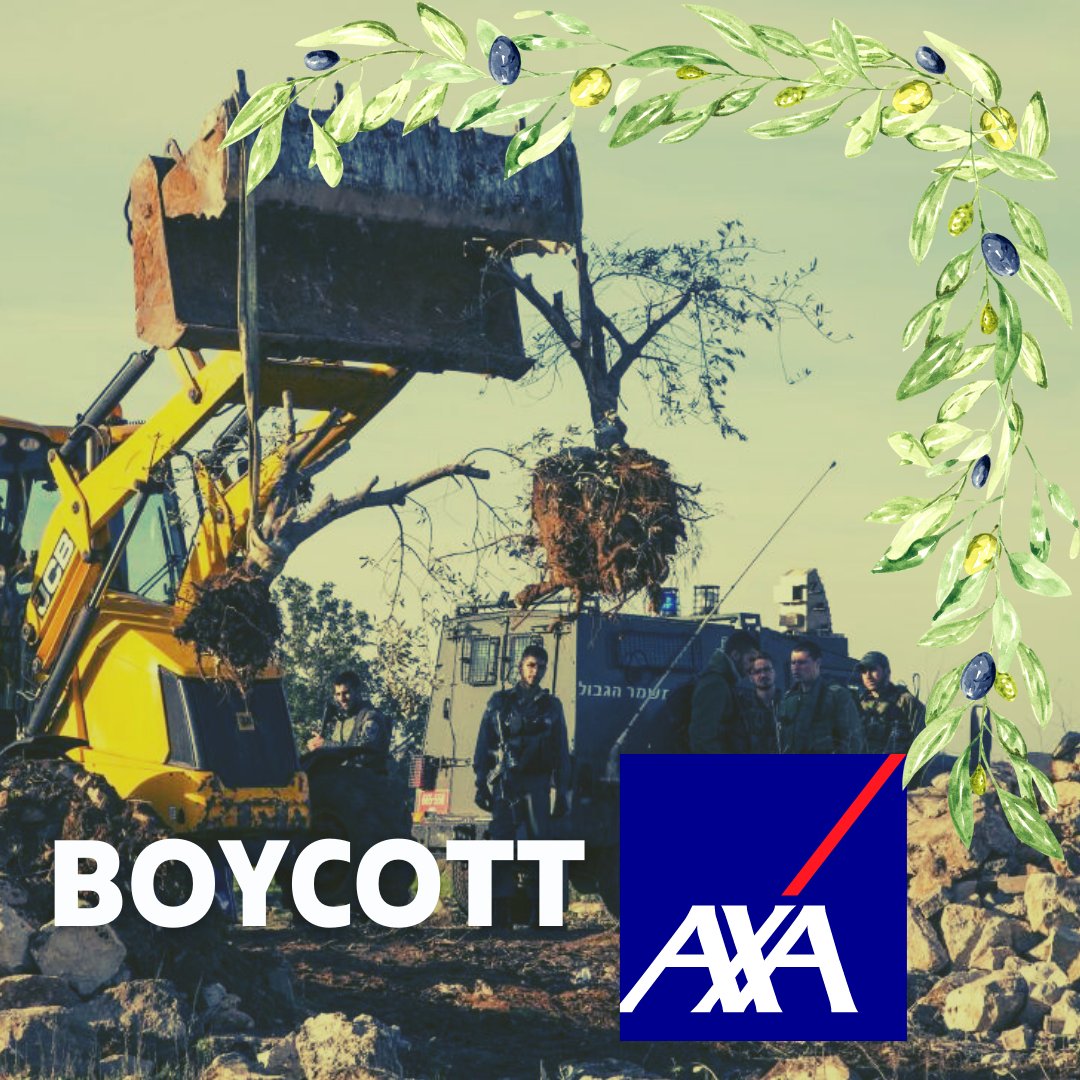 Since 2020, over 10,000 people from around the globe, like Charlotte & Todd, pledged to #BoycottAXA until it divests from Israeli banks financing Israel’s illegal settlements.

Push #AXADivest now by refusing to buy @AXA insurance products & cancelling any existing policies.