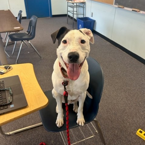 Buford Middle School tweet media