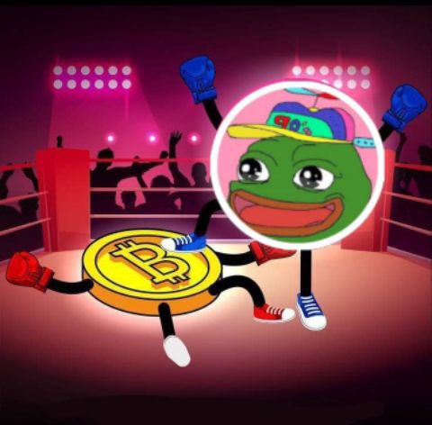 PEPE JR tweet media