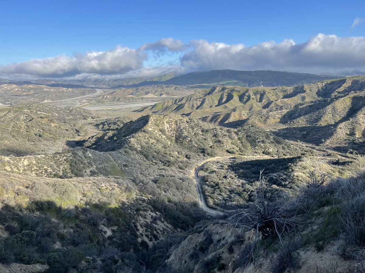 CrossleyIDGuide's tweet image. 3rd spring watching daytime migration in mtns N of LA. Fridays flight was massive (20k) and 1000s lot of days - follow Daniels Tejon Pass count on trektellen.org. Night flight also big and low  When there are few birds, the scenery and flowers are okay…