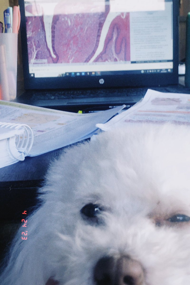 Histologia y Amelia 💜