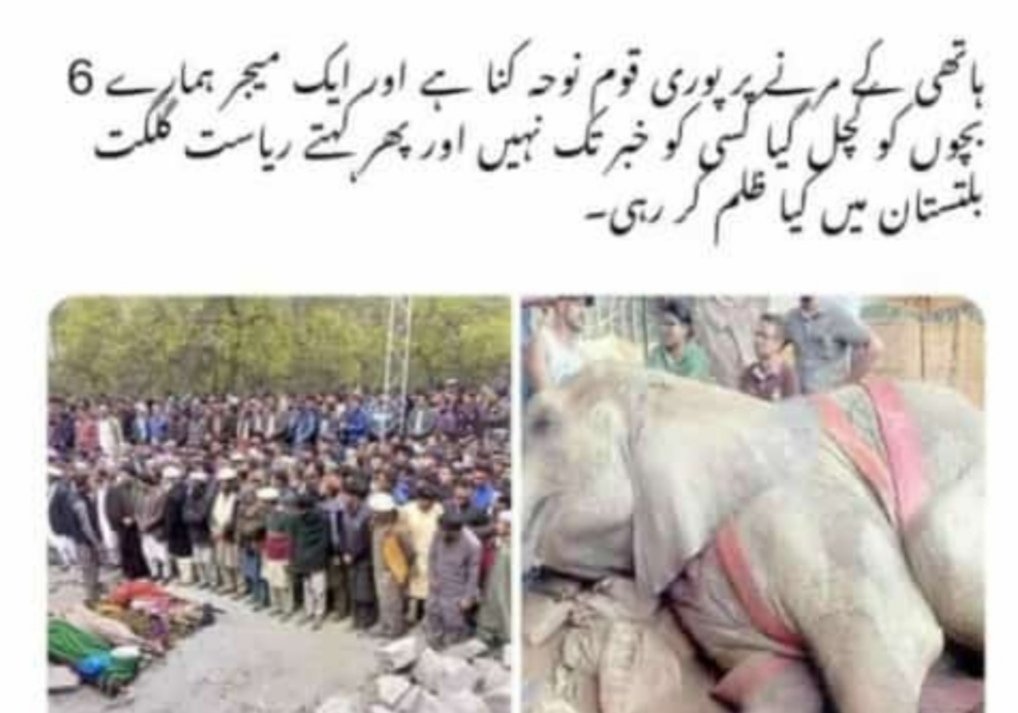 MountainsLegend's tweet photo. #justiceforgb #GilgitBaltistan https://t.co/fW1PJkNMxR
