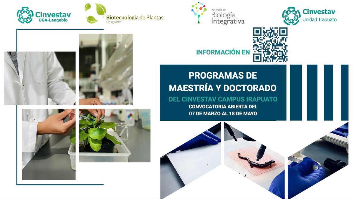 CONVOCATORIA ABIERTA

🧬Se encuentra abierta la convocatoria 2023 para el programa de Biotecnología de Plantas para Maestría y Doctorado.

📅Cierre: 18 de mayo de 2023

ℹ️bit.ly/3krOLDq

‼️For foreign students: bit.ly/3yGj4tX
