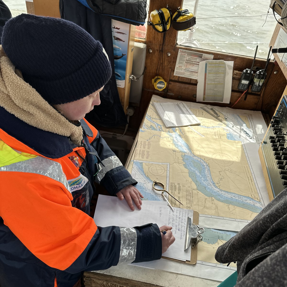 Apprendre à naviguer, lire, danser, se ressourcer, créer des liens... 6 jours que le Cabestan 1 est parti et nos participant/e/s vivent l'expérience comme il se doit. 😎😌

#ecomaris #cabestan #parcourscabestan #montreal #rimouski #quebec #canada #aventure #voilier #tallship