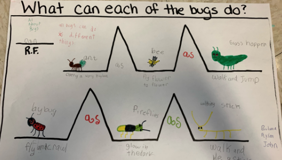 Thinking Maps- MAP ACCURACY with the   BRIDGE MAP - mailchi.mp/thebalancebetw…