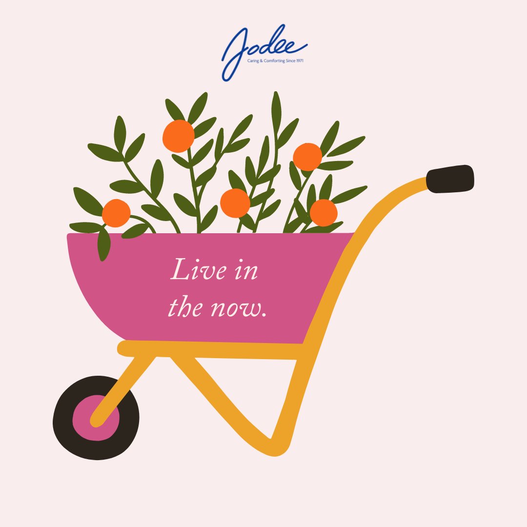 Jodeemastectomy's tweet photo. Life is a precious gift, and every moment counts. Embrace the power of now and make the most of every day! β€οΈ
#Jodee #MastectomyBras #QOTD #Affirmations #Mindfulness https://t.co/BYmr79nklM