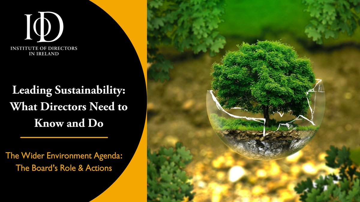 IoDIreland's tweet image. Thank you to Professor @simonhaslam, Chartered Director, for leading the 3rd session of our Leading Sustainablity course today, which addressed the 'Wider Environment Agenda: The Board’s Role and Actions'. 1/2 #ESG #DirectorTraining