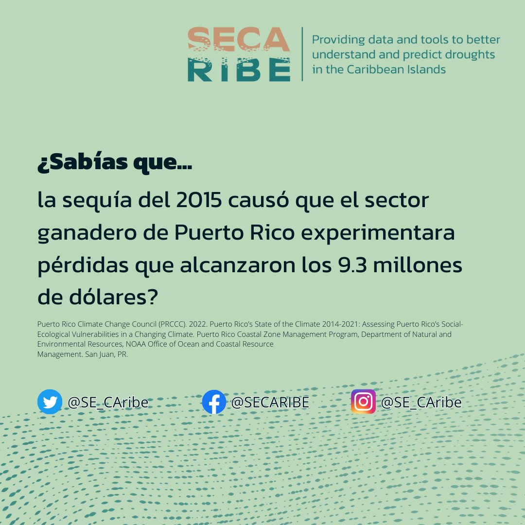 SECARIBE tweet media