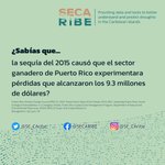 Photo by SECARIBE (@SE_CAribe)