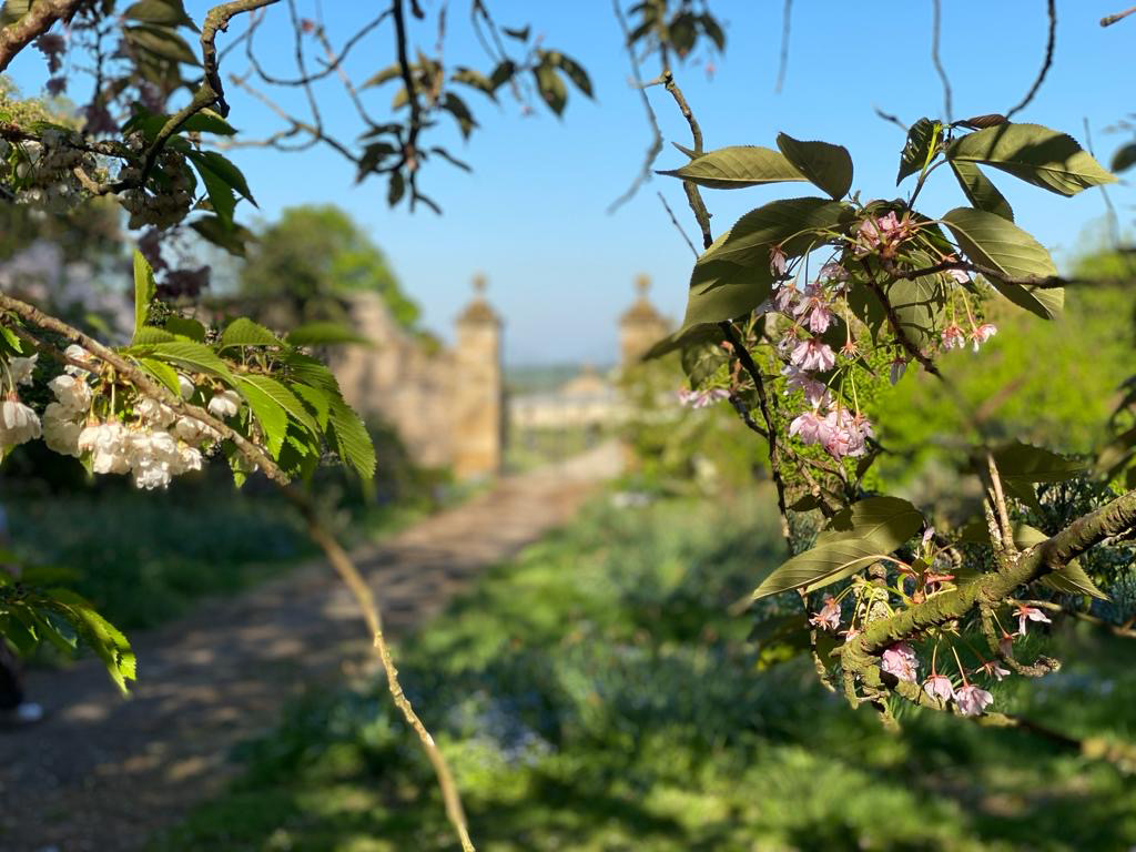swintonestate's tweet photo. Join celebrated gardener Dame Susan Cunliffe-Lister for a tour of the beautiful gardens at Swinton Park, and a two-course lunch.

Dates are available throughout May until August
£50 per person

https://t.co/agVMDNzcoP https://t.co/0wWA3sQGgn