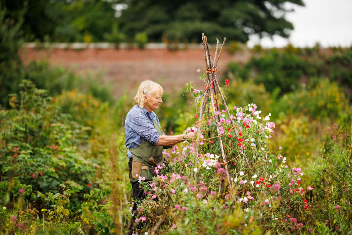 swintonestate's tweet photo. Join celebrated gardener Dame Susan Cunliffe-Lister for a tour of the beautiful gardens at Swinton Park, and a two-course lunch.

Dates are available throughout May until August
£50 per person

https://t.co/agVMDNzcoP https://t.co/0wWA3sQGgn
