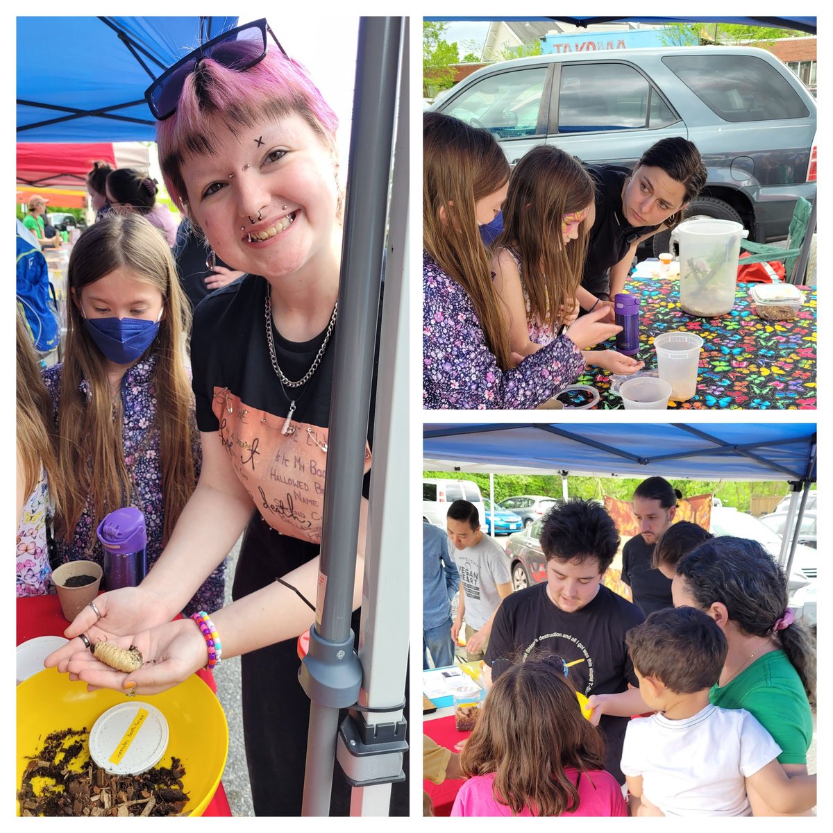 Check out these amazing photos from the UMD Insect Zoo's involvement in the Earth Day Festival at Takoma Park Silver Spring Co-op! Our volunteers had a blast teaching people about insects and their fascinating life cycles. #InsectTerps #InsectLove #EarthDay2023