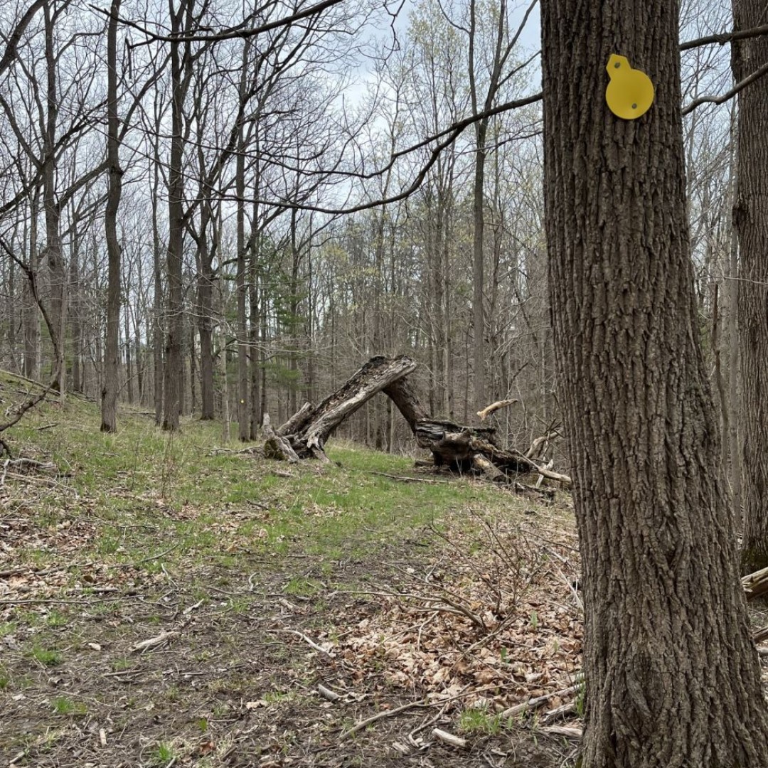 Pearce Williams Summer Camp tweet media