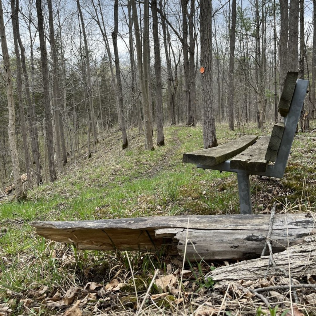 Pearce Williams Summer Camp tweet media