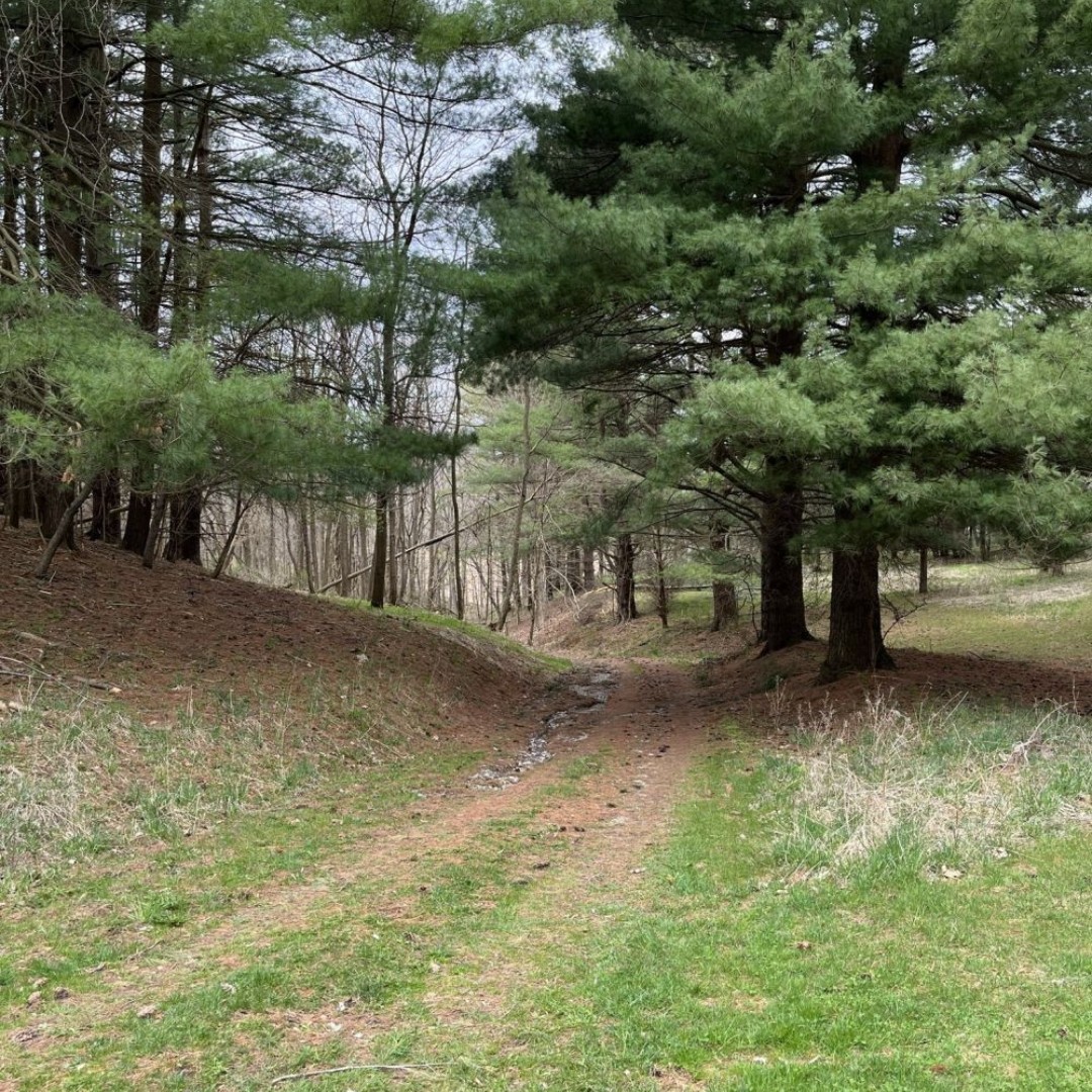 Pearce Williams Summer Camp tweet media