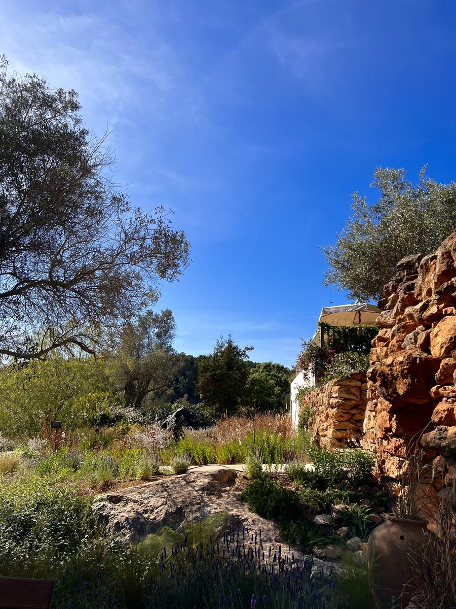 lior.eth on Twitter "Live with the novel_labs team Hideout located."