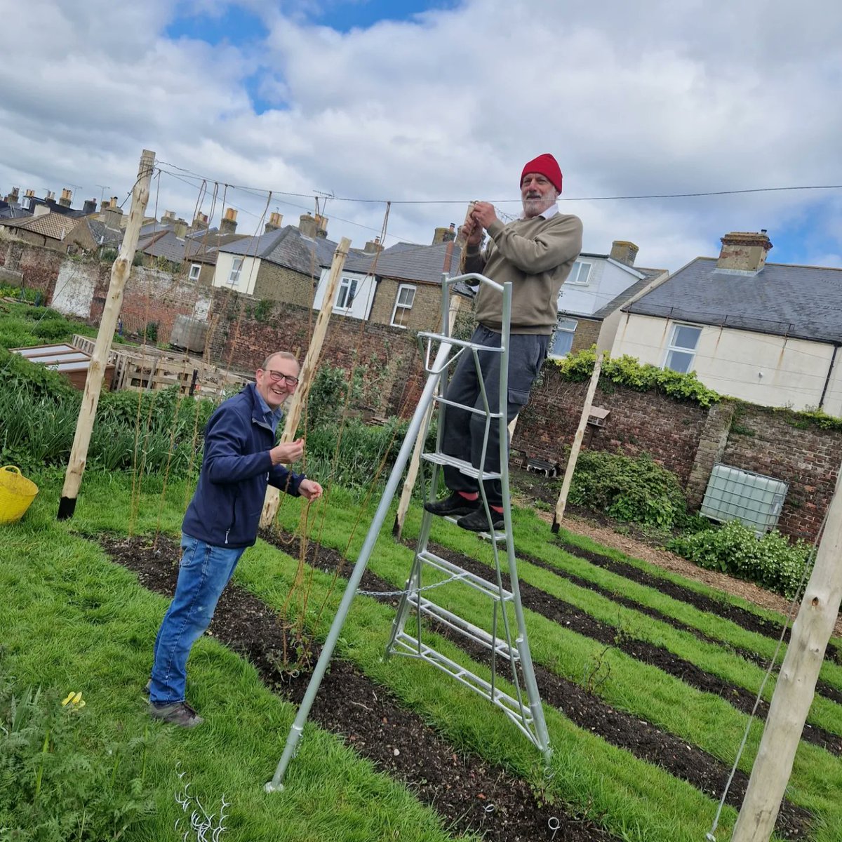 Rafi and Nigel have been stringing the Hop garden at @captainsgardendeal today.... why not pop in on the Open Day at the Garden on the Bank Holiday 8th May to have look.