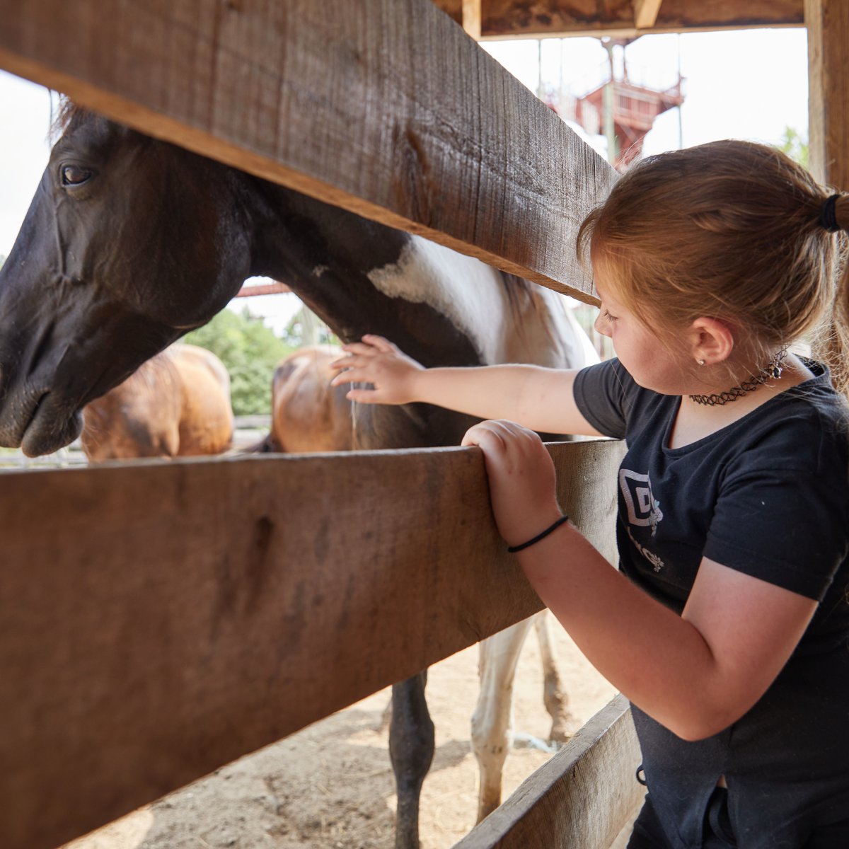 Kentucky Tourism tweet media