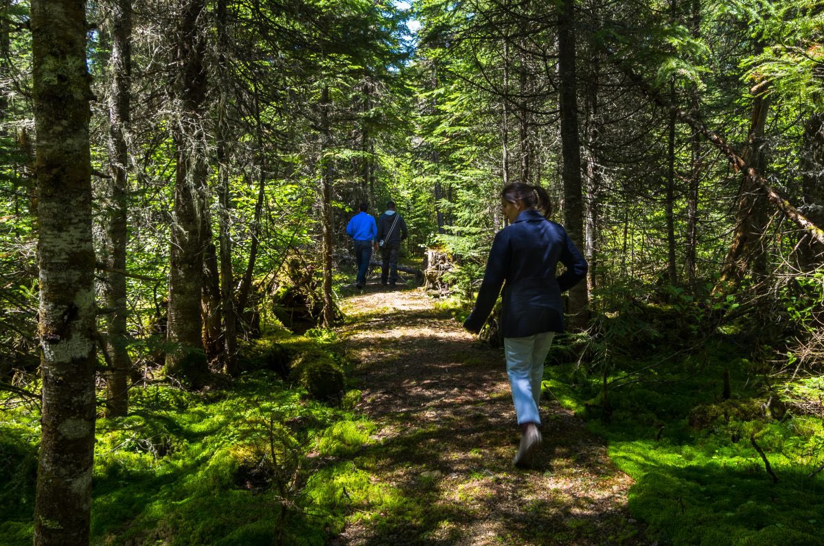 Chap. 23 highlights key achievements and challenges to democratizing #Forest management, focusing on representation, meaningful participation and opportunities for institutional innovation. 👥

link.springer.com/chapter/10.100…

✏️ John R. Parkins &amp; A. John Sinclair
📸 Julie Moffet