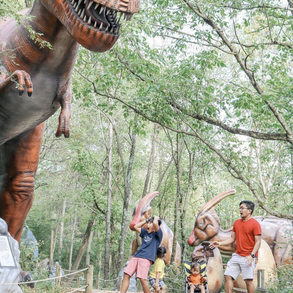 Kentucky Tourism tweet media