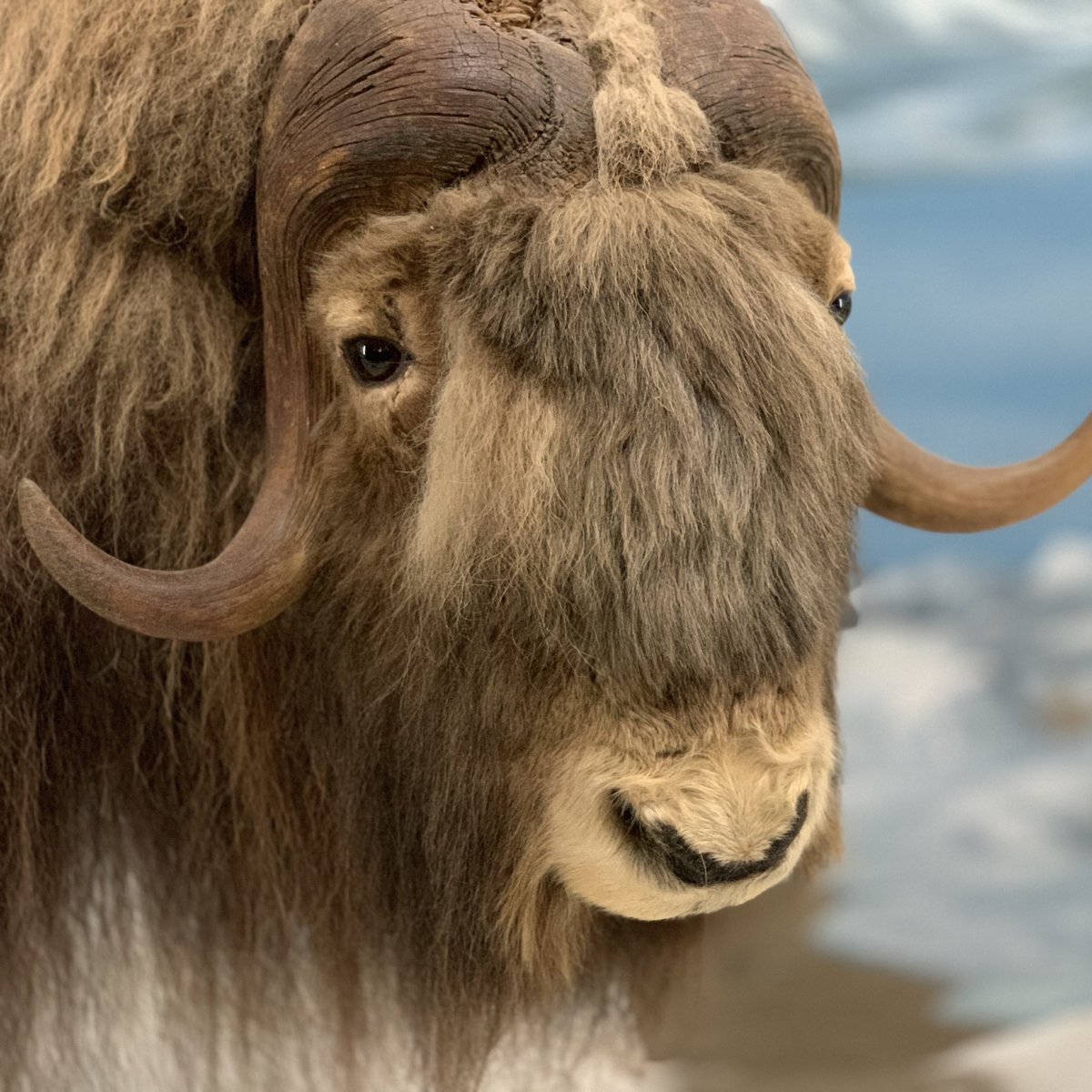 Kentucky Tourism tweet media