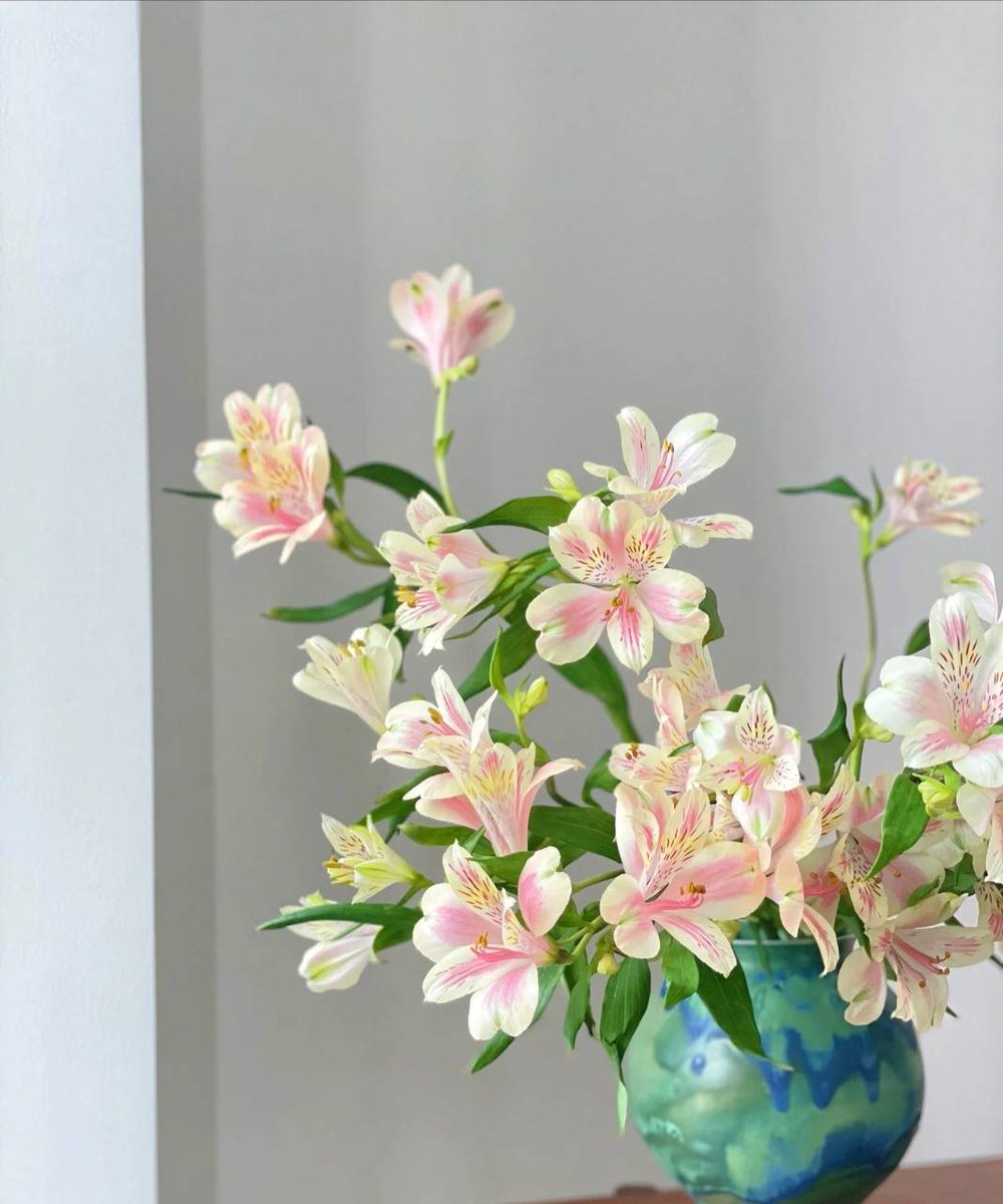 fran_git's tweet image. If you are in full bloom, butterflies will naturally come.🦋🦋🦋