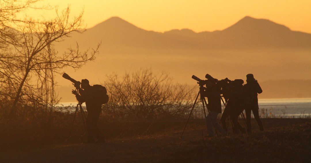CityofDeltaBC's tweet image. 🏞️This BC Tourism Week, April 24 to 30, let’s work together to create a welcoming environment for visitors, develop destinations, and share #Delta for a piece of BC's $13.5 Billion in tourism revenue (&amp;amp; growing).

#DestinationBC #TourismWeek2023 #DeltaBC #BCTourismCounts