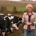 Photo by Maryland Farm & Harvest (@MDFarmTV)