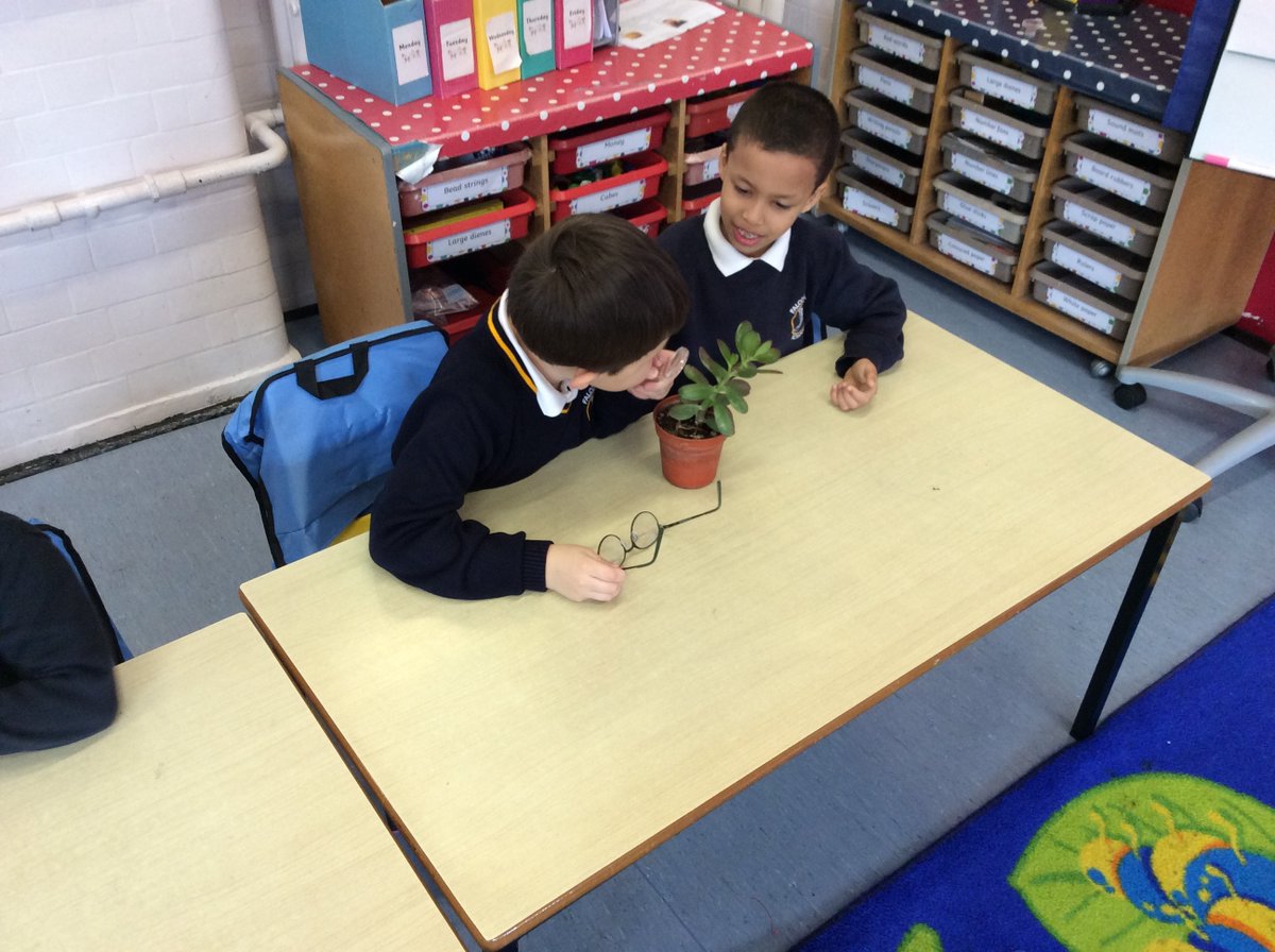 falconbrookSW11's tweet photo. Year 1 loved looking at different plants we had around the school and using  magnifying glasses to take a closer look at the stems, leaves and flowers! #funatfalconbrook #sciencelearning #itsgoodtobegreen https://t.co/B5dGR8kc97