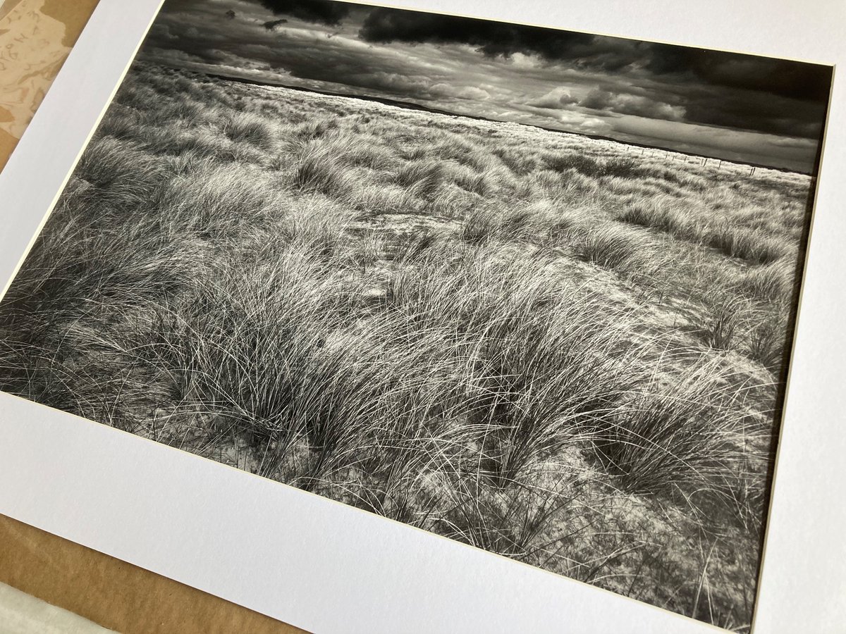 Picked up  some lab prints today from DNA Photoimaging  #worthing  Great work , very impressive.
#printyourimages  #photographyprint