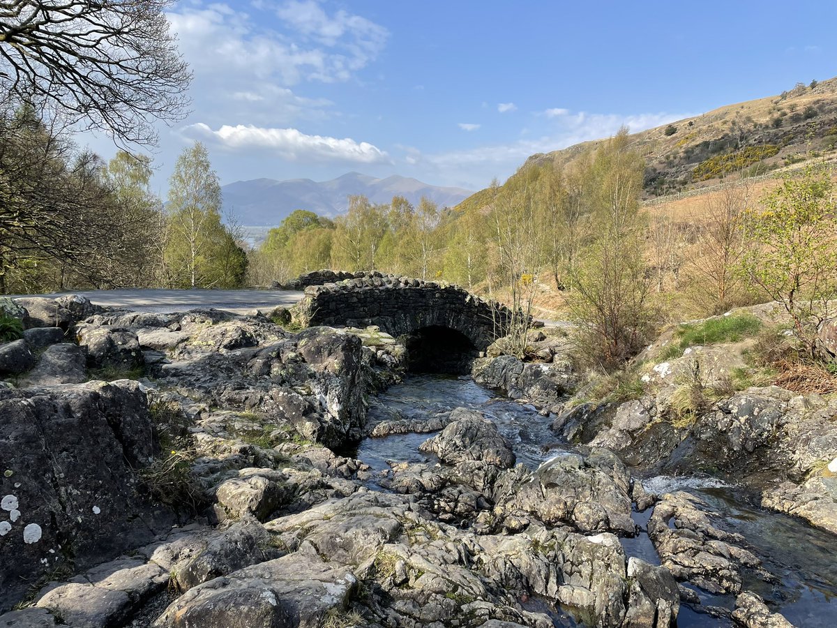 Dr. Cara Burberry, PG tweet media