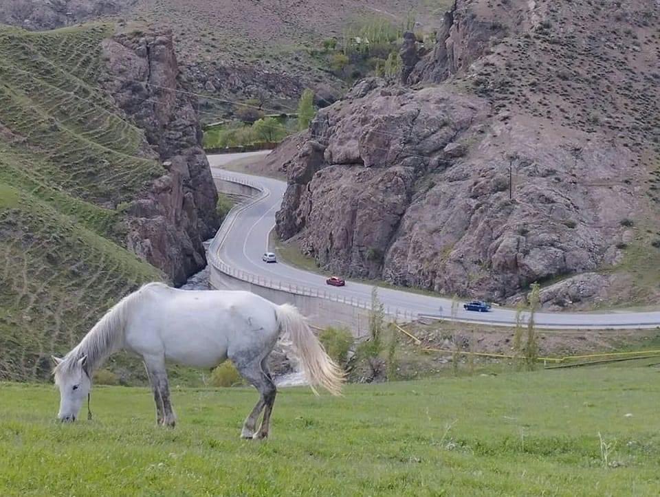 Ali_F_Alizada's tweet photo. #Batabat steppe, #Nakhchivan,
#Azerbaijan 🇦🇿.

Despite its beautiful nature and air, it is also known as one of the best places for medicinal herbs and plants. https://t.co/L09LMUZiNz