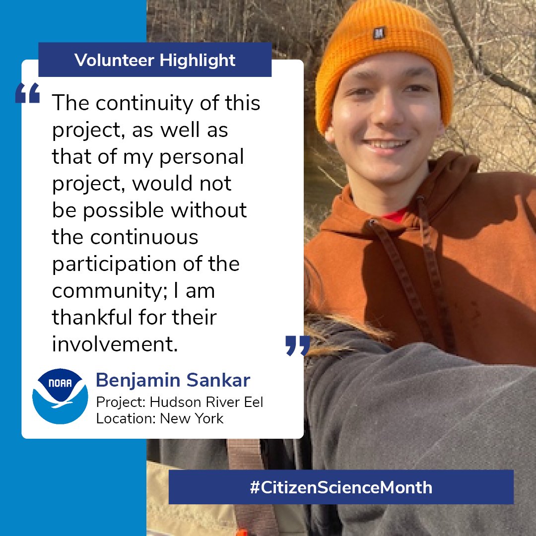 NOAAeducation's tweet image. Can you imagine catching 2,187 eels in one day?! This is just one of the amazing things you might do as a NOAA citizen scientist. Learn about the Hudson River Eel #CitSci Project from high school students Eva &amp;amp; Ben:
noaa.gov/education/stor… #CitizenScienceMonth #CitizenScienceNOAA