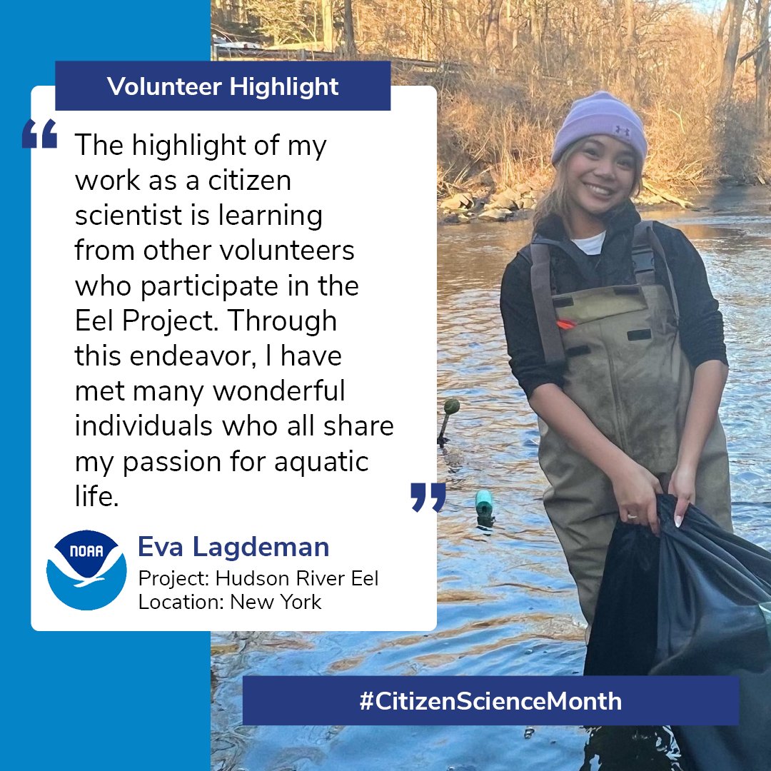 NOAAeducation's tweet image. Can you imagine catching 2,187 eels in one day?! This is just one of the amazing things you might do as a NOAA citizen scientist. Learn about the Hudson River Eel #CitSci Project from high school students Eva &amp;amp; Ben:
noaa.gov/education/stor… #CitizenScienceMonth #CitizenScienceNOAA