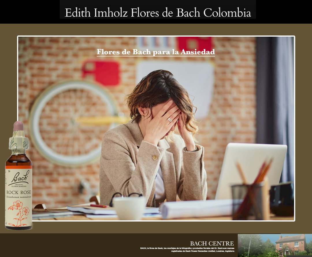 FloresdeBachCol's tweet photo. Las Flores de Bach son esencias naturales utilizadas para tratar diversas situaciones emocionales, como ansiedad, desesperación, miedos, soledad, estrés, depresión etc. 

📷https://t.co/pjFQMui6aS
📷contactenos@floresdebachcolombia.com
Cel/WhatsApp 57 313 401 9024 https://t.co/PDZph9ndIs