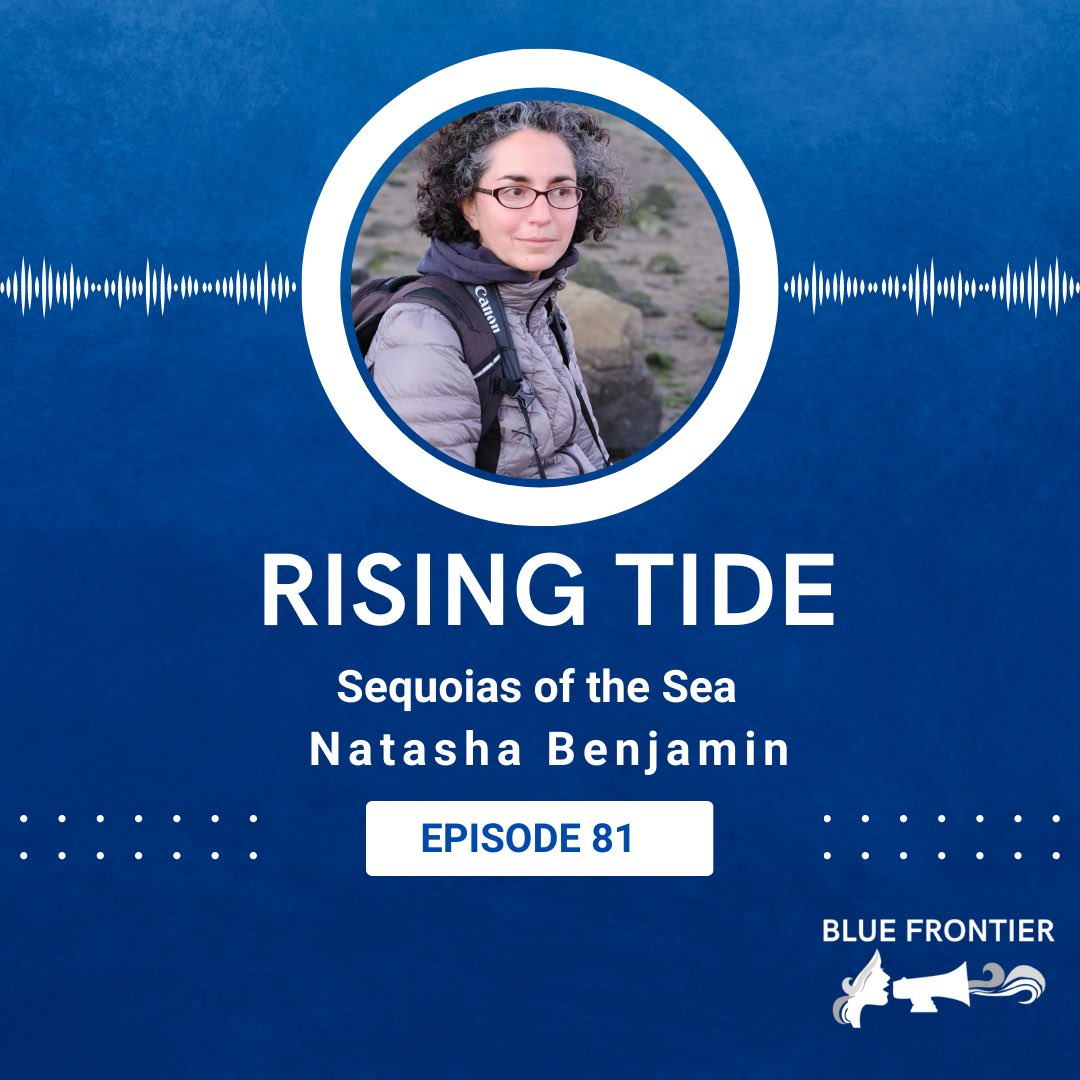 Blue Frontier Campaign tweet media