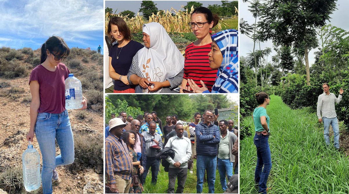 📢Pre-announcement: this year we are launching the Lighthouse Farm Academy: <a href="/WURacademy/">Wageningen Academy</a>'s programme for professionals on Redesigning Farming &amp; Food, based on lessons from our Lighthouse Farms. Sign up to our summer school in June for a 1-week taster menu!
wur.nl/en/education-p…