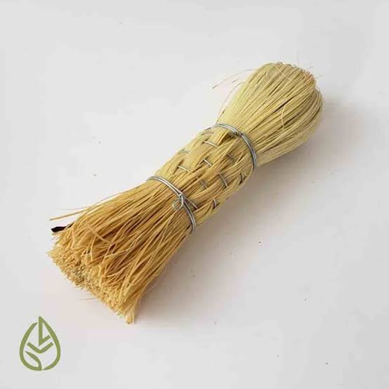 medidorderuidos's tweet image. Oigan, ¿ustedes cómo les dicen a estas y en qué región adquirieron su español? Empiezo yo:

Escobetilla
Sureste del estado de Guanajuato, México.