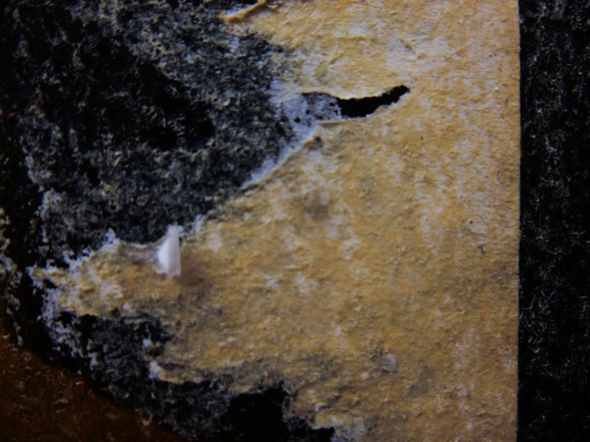 Oh, this light, yet so imposed upon, so dimmed by greed and the cruelty of it. Avarice is the blackout blanket of war, the blind of idiocy, the crippling denial of our common right. Oh, this light...