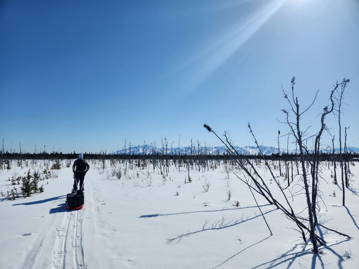 It was such a great experience being up in Alaska this month collecting albedo data with NASA SnowEx! Big shout out to all of the PIs involved for this awesome opportunity