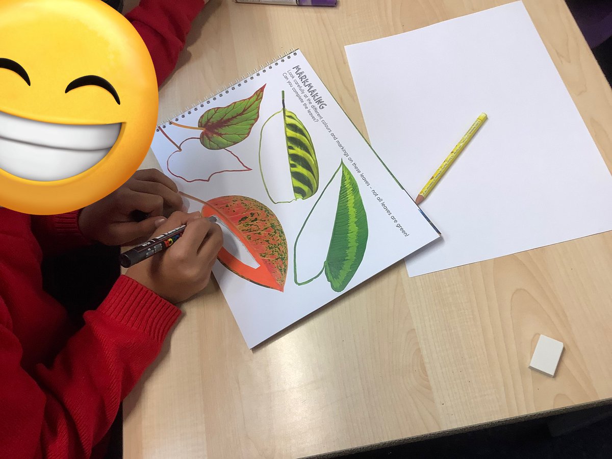 Moorhen class have had a great morning starting our #rainforestretreat project with @Delightcharity @Ashford_Park #weareartistsatapps #artintheclassroom #alwaysaspaceforart #thearts 🎨🖼️🍃